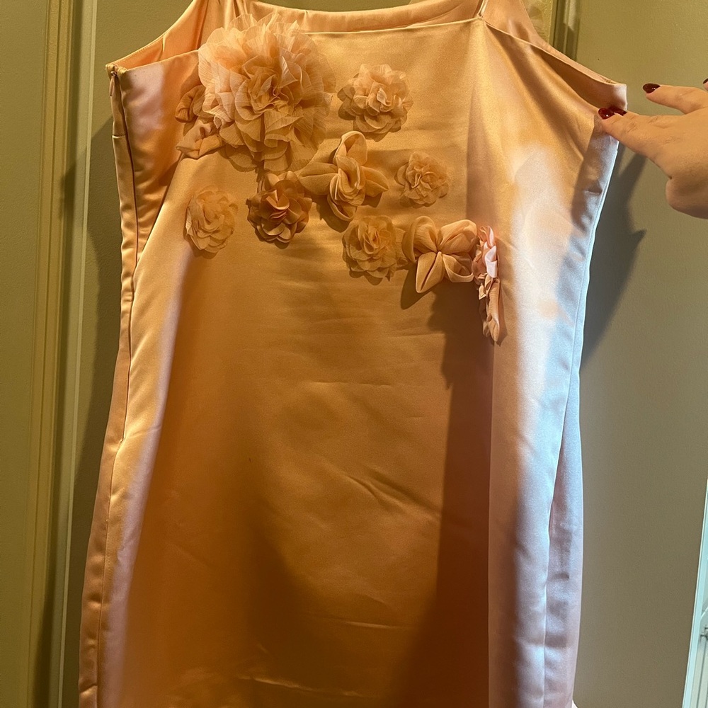 Love Shack Fancy Satin Mensa Mini Dress Size 6 Rose Appliqués - Picture 6 of 11